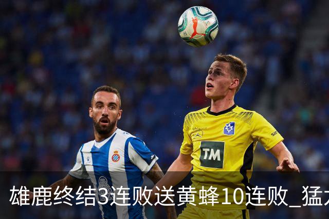 雄鹿终结3连败送黄蜂10连败 猛龙送火箭3连败